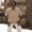 Avatar de GottfriedqN